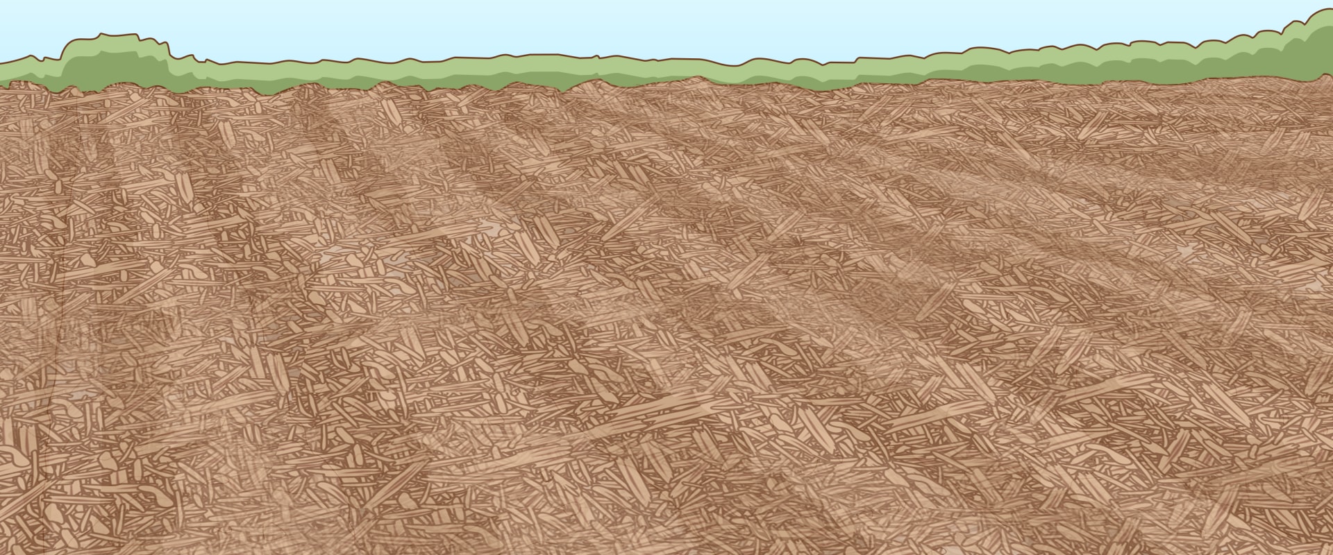 Natural Erosion Control Methods That Actually Work