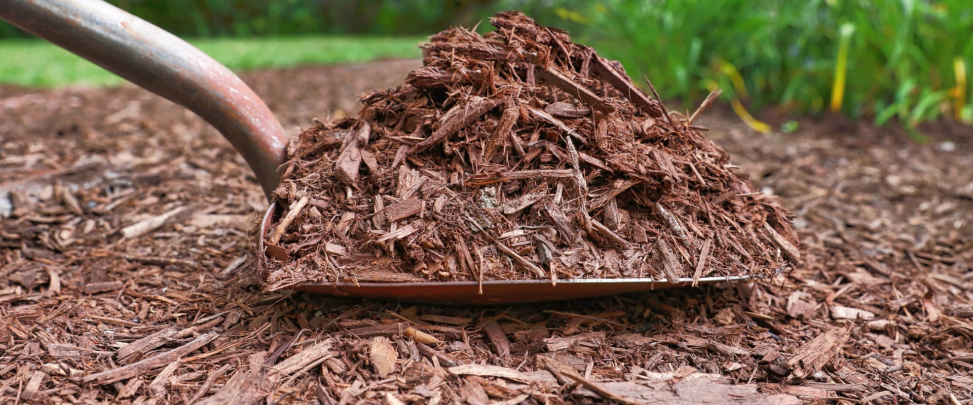 Mulching and Ground Cover: A Comprehensive Guide to Erosion Control