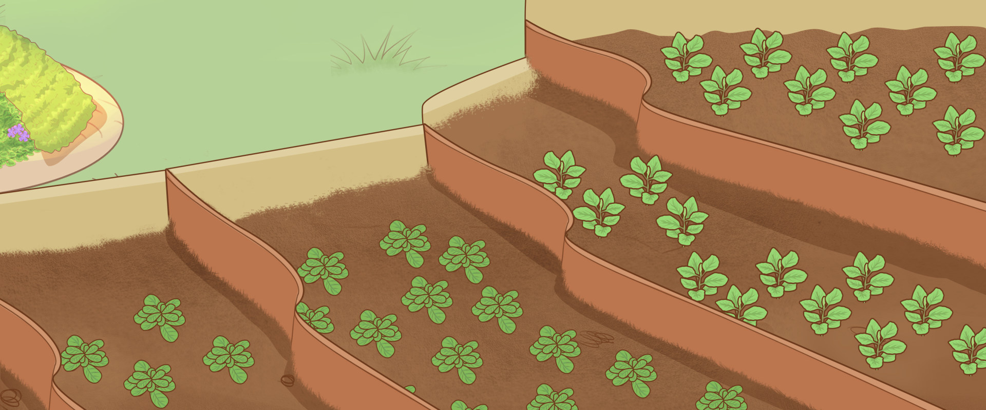 Natural Erosion Control Methods That Actually Work