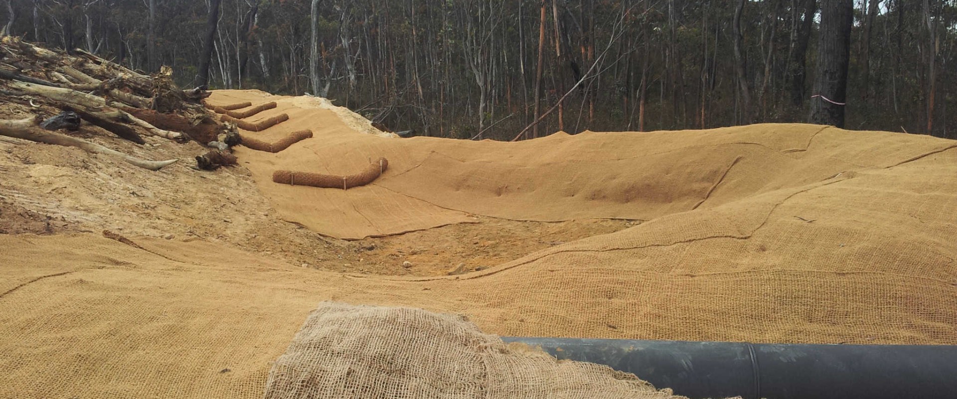 An In-Depth Look at Wind and Water Flow: Understanding Erosion Control