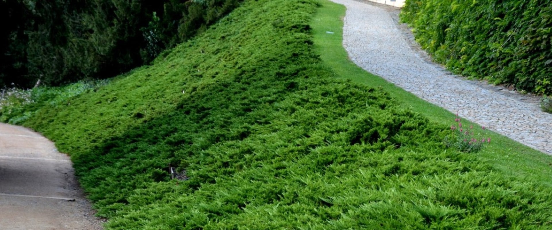 Natural Erosion Control Methods That Actually Work