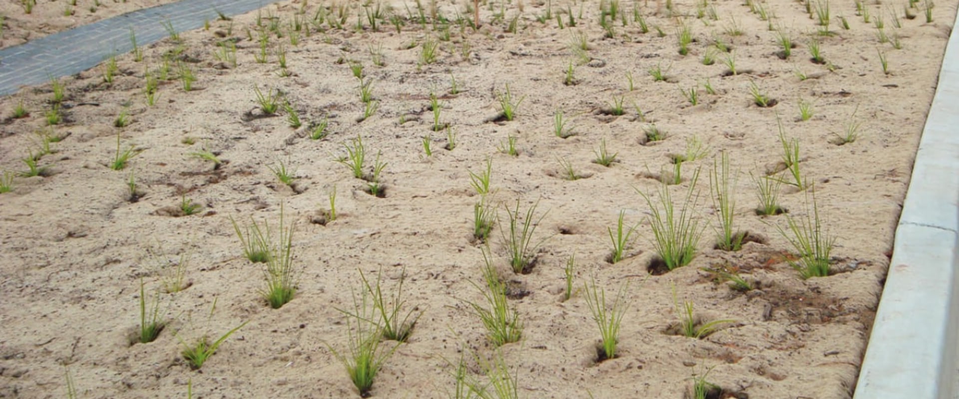 Jute Matting for Erosion Control: A Comprehensive Guide