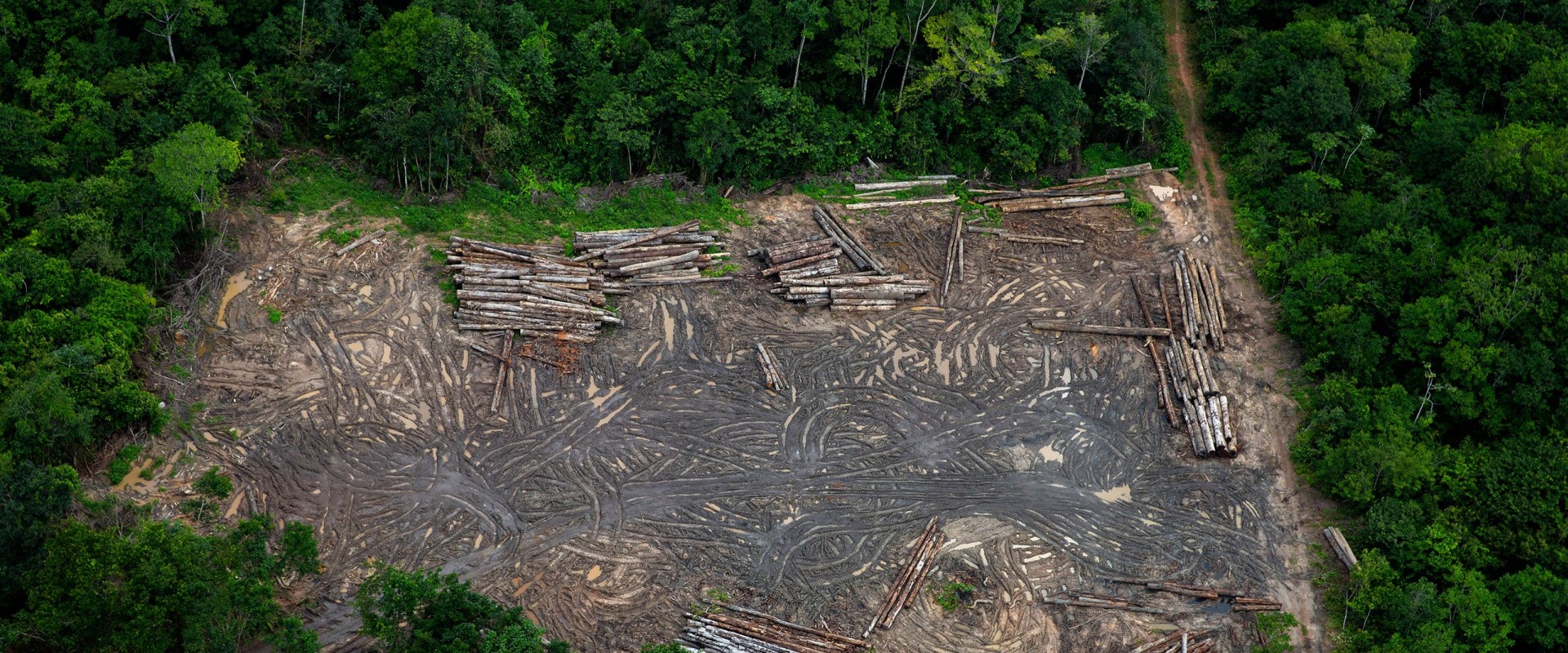 Deforestation and Land Use Changes: Understanding Erosion Control