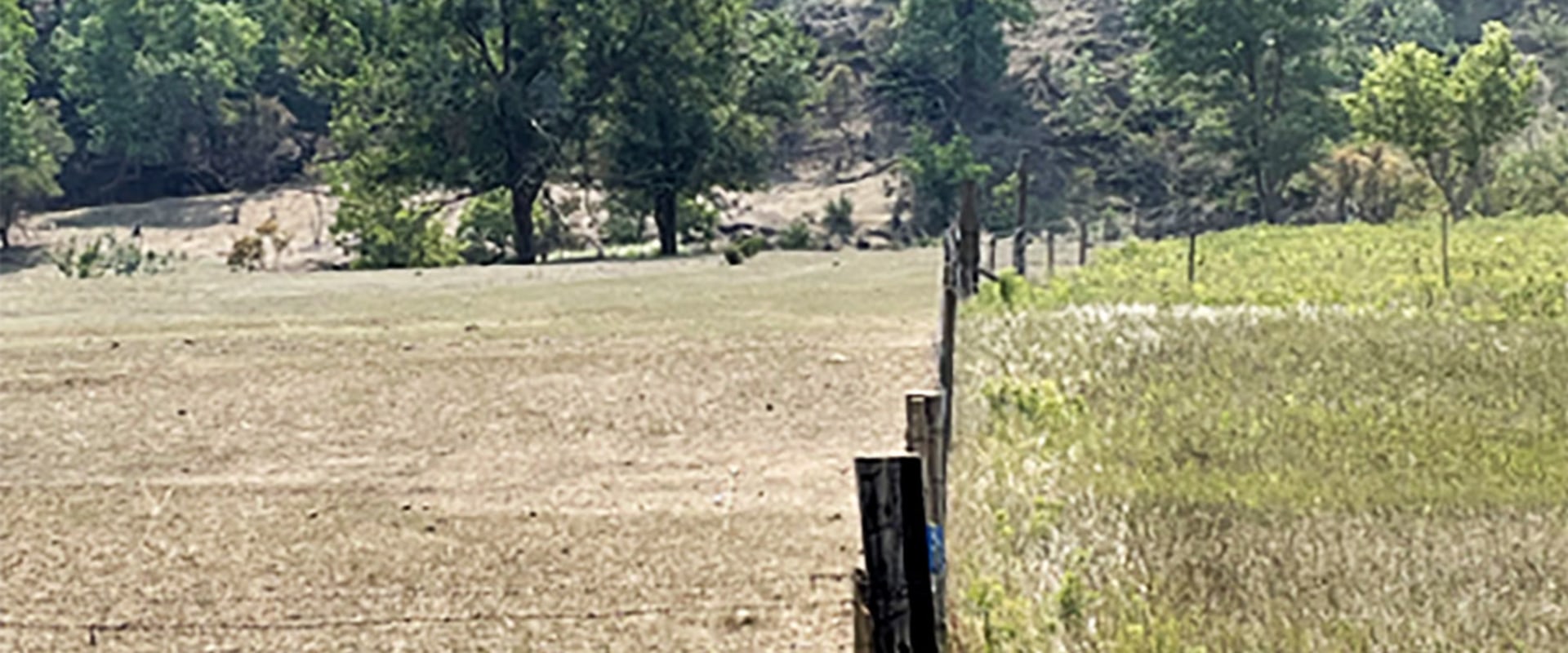 Understanding the Effects of Overgrazing on Soil Erosion