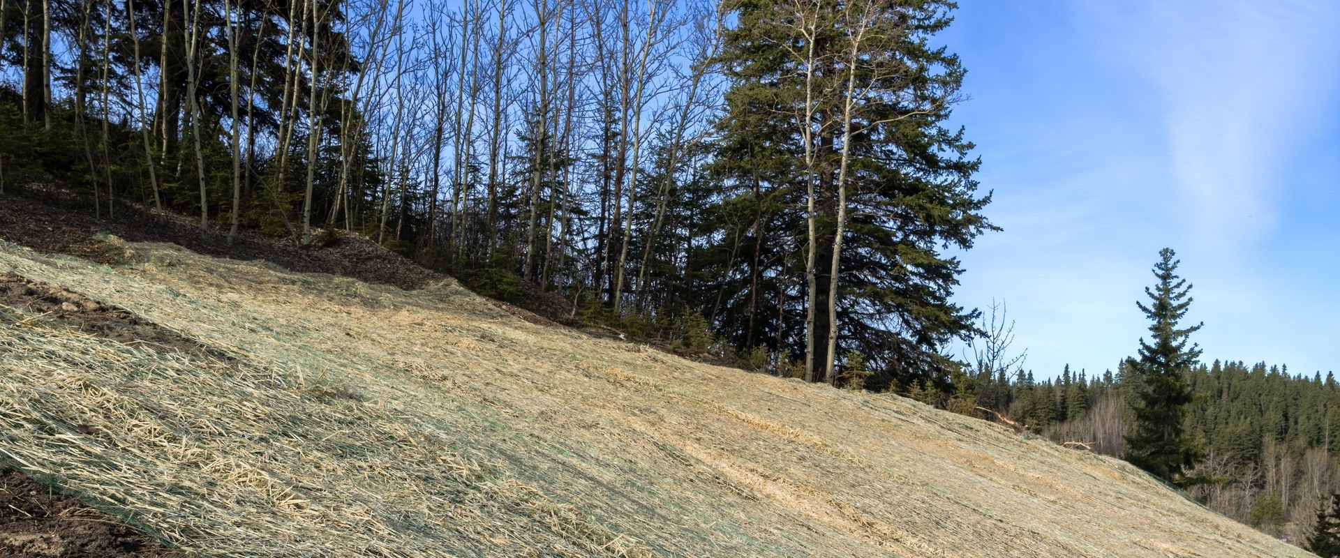 Identifying Erosion-Prone Areas: A Comprehensive Guide