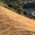 The Power of Coir Blankets in Erosion Control