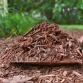 Mulching and Ground Cover: A Comprehensive Guide to Erosion Control