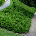 Natural Erosion Control Methods That Actually Work