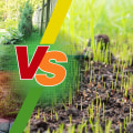 Understanding the Basics of Grass Seeding and Sodding