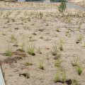 Jute Matting for Erosion Control: A Comprehensive Guide