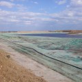 Understanding Seed Mixes and Additives for Erosion Control