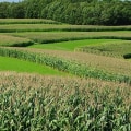 Terracing and Contour Farming: Protecting Your Land from Erosion