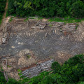 Deforestation and Land Use Changes: Understanding Erosion Control