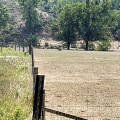 Understanding the Effects of Overgrazing on Soil Erosion