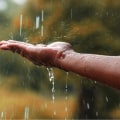 Understanding Rainfall Intensity and Amount