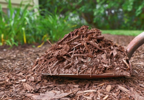 Mulching and Ground Cover: A Comprehensive Guide to Erosion Control