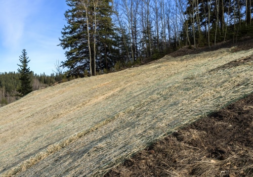 Determining Runoff Patterns: Understanding Erosion Control