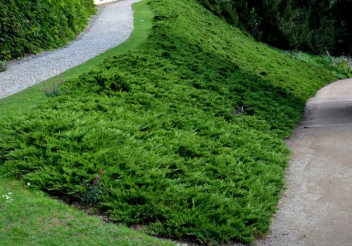 Natural Erosion Control Methods That Actually Work