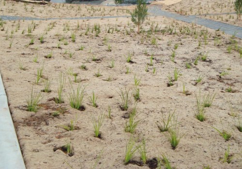 Jute Matting for Erosion Control: A Comprehensive Guide