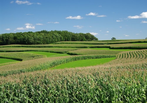 Terracing and Contour Farming: Protecting Your Land from Erosion