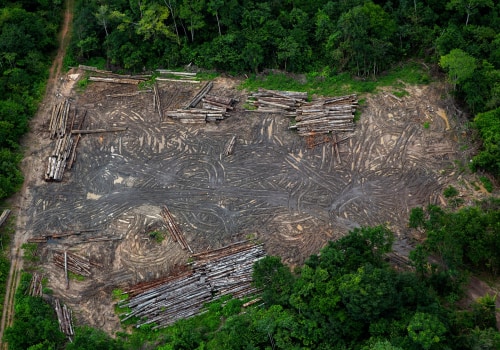Deforestation and Land Use Changes: Understanding Erosion Control