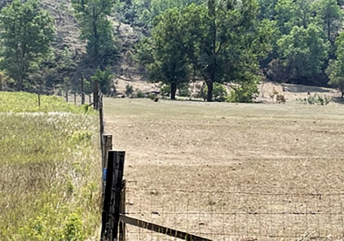 Understanding the Effects of Overgrazing on Soil Erosion